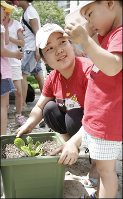 배추 모종을 상자에 심고 어린이와 학부모가 기뻐하고 있다. 